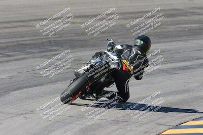 media/Feb-04-2024-SoCal Trackdays (Sun) [[91d6515b1d]]/4-Bowl Backside (11am)/